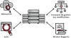 Asset Integrity Monitoring